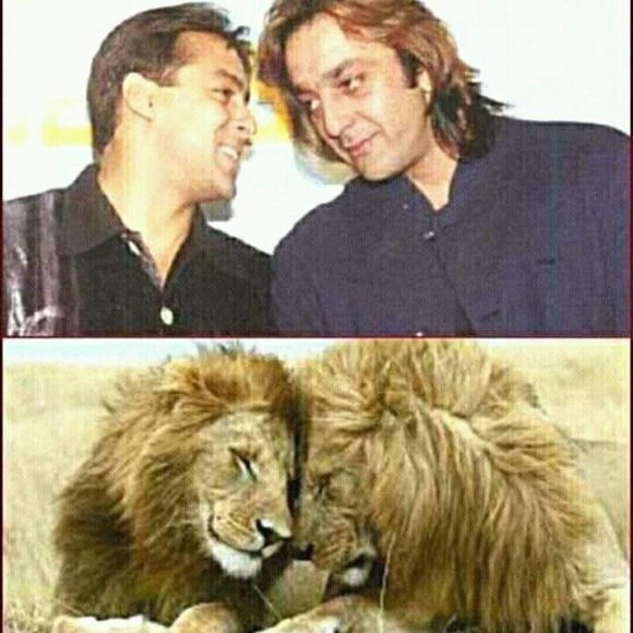 Meet your Posher, Mohammed - Picture 1 of 1